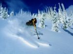Ski arel Kocourov - foto