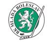 Veejn bruslen BK Mlad Boleslav