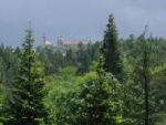 Arboretum Kostelec nad ernmi lesy - foto