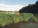 Naučná stezka Lanškrounské rybníky - foto