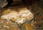 Zbraovsk aragonitov jeskyn - foto